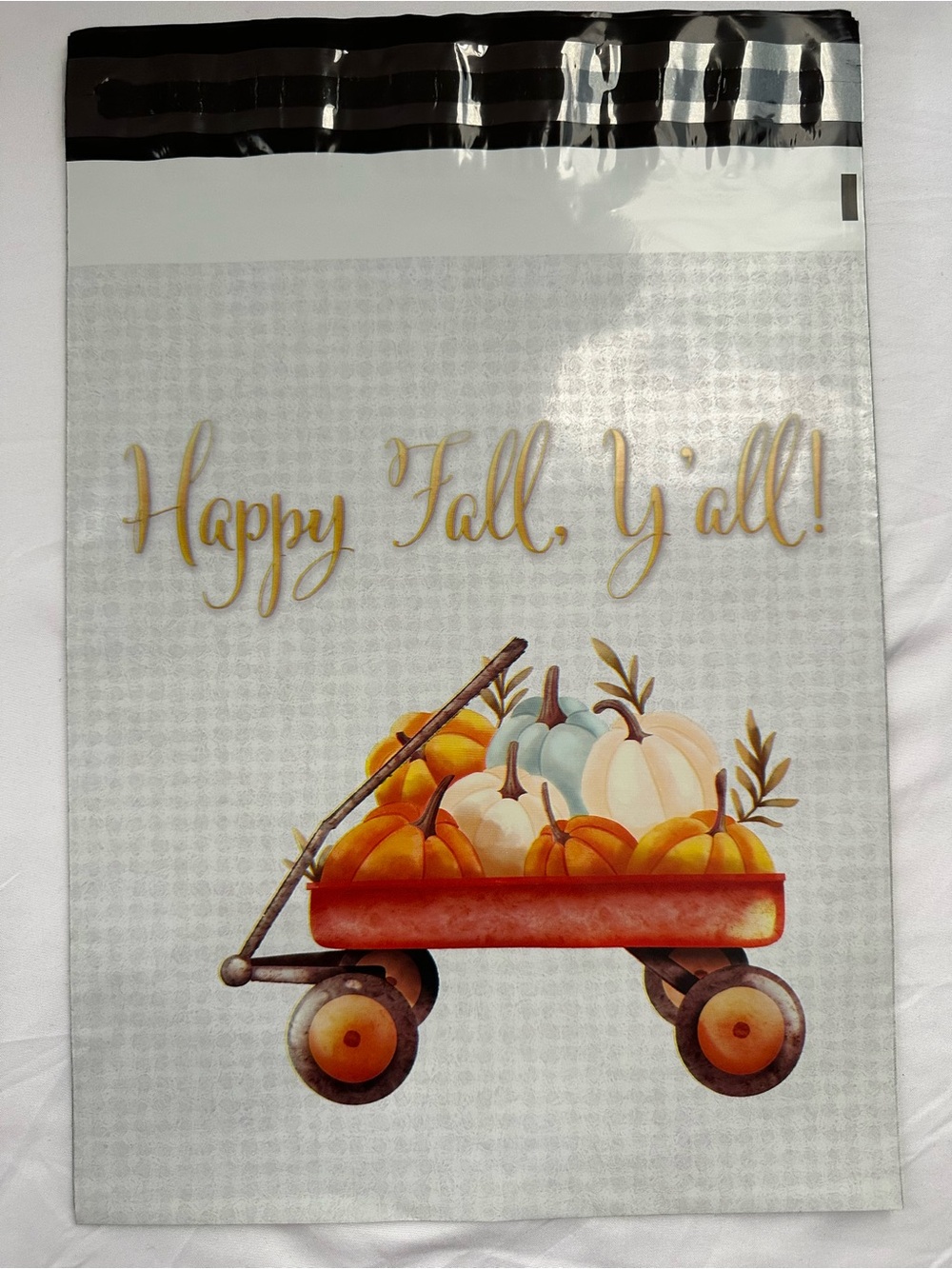 Fall Autumn Poly Mailer Variety Pack 10x13 Pumpkin Spice Happy Fall Hedgehogs - Picture 4 of 14